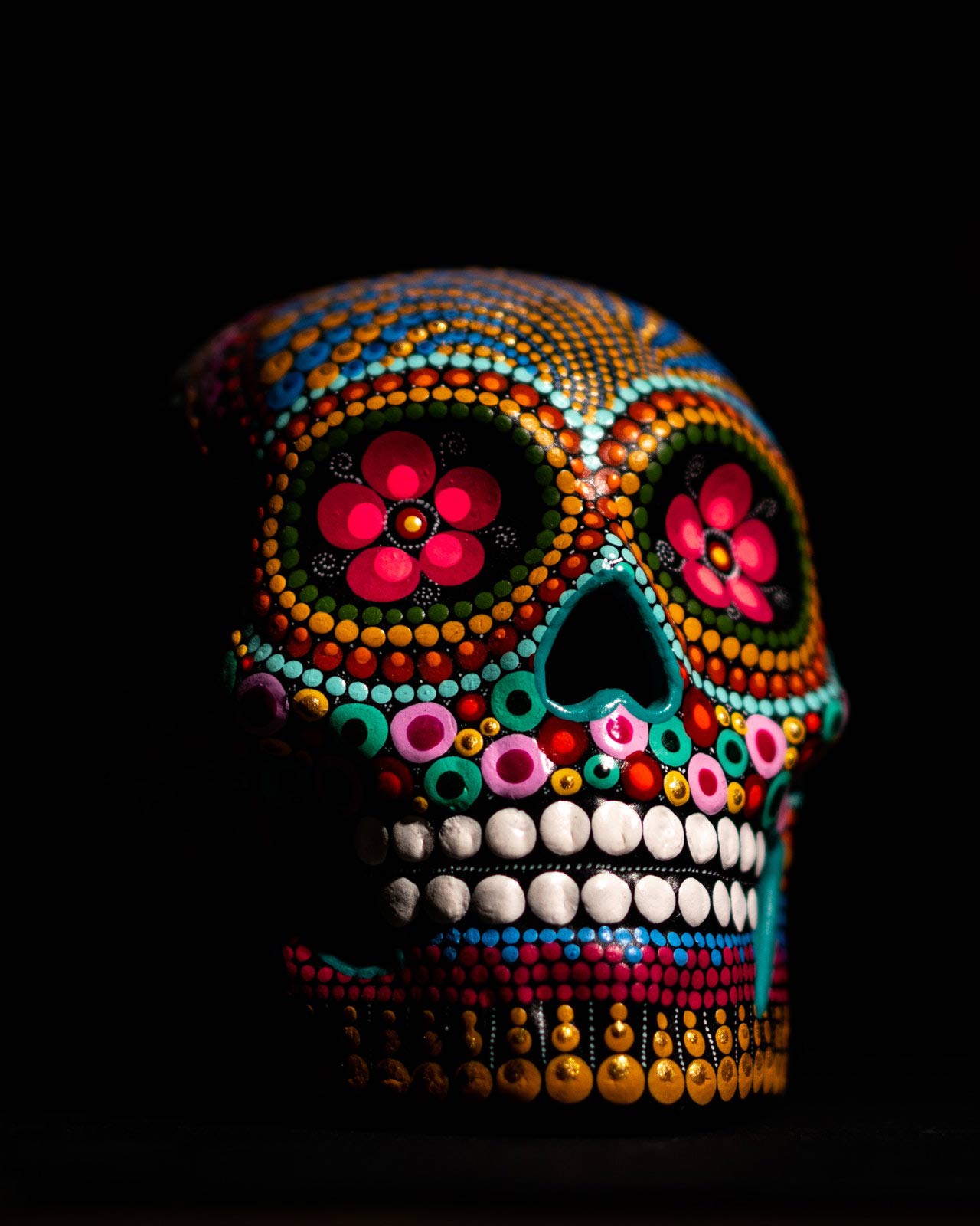 art-black-background-bone-1918290